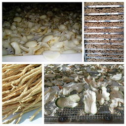 中藥飲片烘干機(jī)自動(dòng)化控制技術(shù)及其應(yīng)用