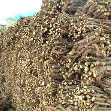 甘草中藥飲片 價(jià)格、批發(fā)與廠家全解析