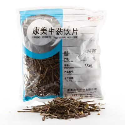 康美中藥材半枝蓮 一味清熱解毒的良藥，從飲片鑒別到功效應用全解析